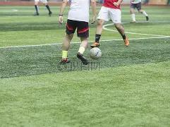 揭秘,年切尔西绿,茵场将迎,PG,PG入口,PG官网,PG官方入口,PG官方网址